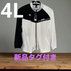 Item thumbnail for item d903f9ee-ec6f-4872-9ea8-ee0315806725