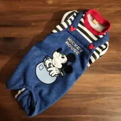 Item thumbnail for item 32098031-3196-4e9a-b96c-1fe8988caa74