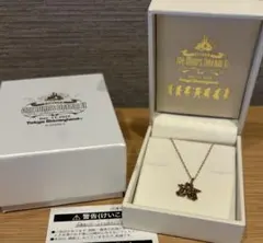 ♥️Disneyミッキーマウス K10 保証書 ネックレス(チェーン付) - メルカリ