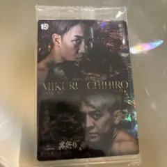 RIZINウエハース　NO.34 シークレット2