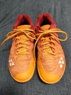 2026年最新】エアラスZ 24.5の人気アイテム - メルカリ