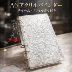 アクリルバインダー saving 貯金 バインダー 推し活 トレカ収納　家計簿