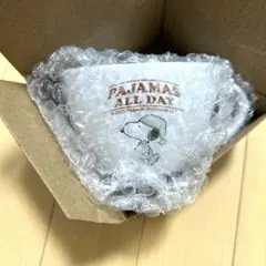 【新品2個】スヌーピー ファミリーキャラクター 大きなカフェカップ 陶器箱有