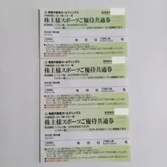 3枚スキー場 リフト券 割引券　ハンターマウンテン塩原 ニセコ東急グランヒラフ