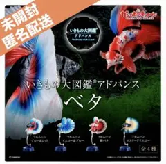 2025年最新】いきもの大図鑑アドバンスベタの人気アイテム - メルカリ