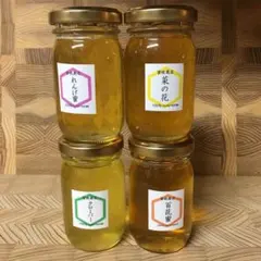 【非加熱・生はちみつ】4種お試しセット・100g×4（4本）