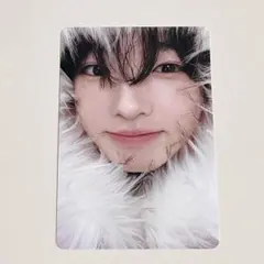 nctwish color photobookver. 初回限定 サクヤ トレカ