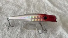 Item thumbnail for item cbbdd264-d649-4c13-8942-be04c5f8bf73