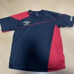 Item thumbnail for item 48b50533-b657-4925-96cf-001d29278a83