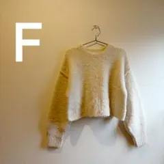 WEGO クルーネック シャギーニット アイボリー F