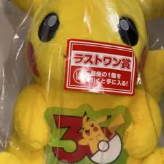 ポケモン 一番くじ 30周年 ラストワン賞ピカチュウ込み7点セット