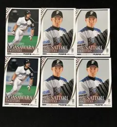 Item thumbnail for item 3a30aa49-dbcd-43c2-84f1-bd6638121554