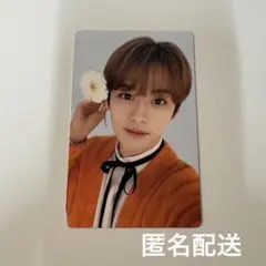 StrayKids スキズ　リノ　トレカ　nacific