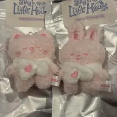 StrayKids ペンミ マイクロ リービット ジニレット エアフラセット