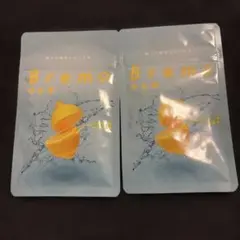 카노우 브레모 브레모 2 백