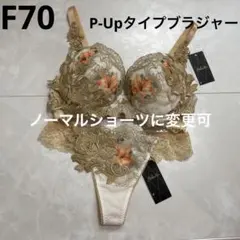ワコール サルート 92G プレステージ 火の鳥 F65 ソングM - メルカリ