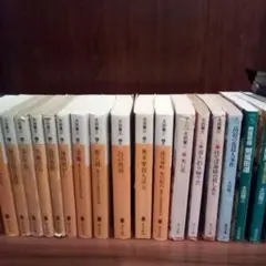 太田蘭三 文庫作品＊19冊セット（USED/送料無料）