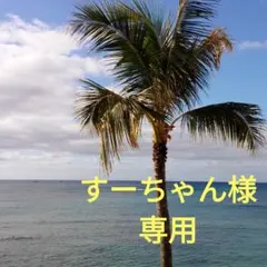 ①すーちゃん様専用　ふきのとう　250g　ネコポス発送