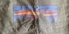 patagonia Men's L/S P-6 Logo Tee