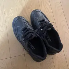 Item thumbnail for item 6310de70-ff84-49bb-a135-cd6c2e07f3b1