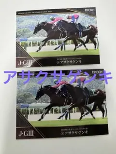 2026年最新】ホースレーシングトレーディングカードの人気アイテム