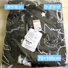 しまむら福袋　ポケモン　ひざかけ　ゲンガー　ミミッキュLL 新品未開封のサムネイル