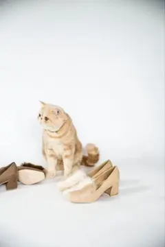 MASH×RANDA ランダ ファーパンプス ベージュ 22.5