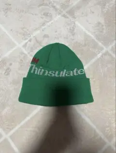 Thinsulate Stussy ビーニー