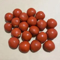 【608】ソテツ　蘇轍　実　オレンジ　橙　20個　セット