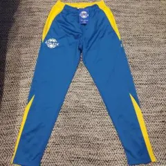 Item thumbnail for item 8251b0cb-7f5f-4a43-a054-ea6c6c9d1d9e