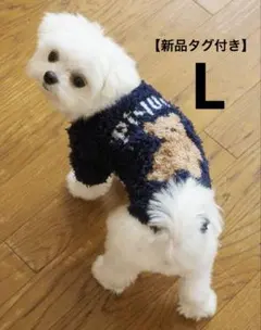 Item thumbnail for item 4fa9bb04-c558-4dad-80e9-7e5770421be7