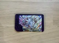 ガチグマ　ポケモンフレンダ　フレンダピック　スーパートレジャーポケモン