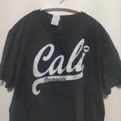 Lサイズ DELTA デルタ 半袖 Tシャツ ダークグレー系 海外古着のサムネイル