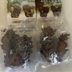 やちむん家 新垣優人 シーサー ミニチュアフィギュア 赤 Redメス オス
