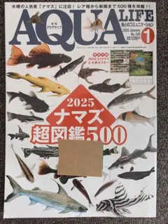2026年最新】アクアライフの人気アイテム - メルカリ
