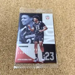 男子バレーボール 日本代表 エバデダン ラリー N ツインウエハース2026