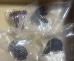 一番くじゴジラ　E賞 モンスターヘッドマグネット全4種コンプリートセット