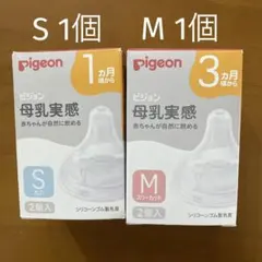 Item thumbnail for item 4a631e6d-3b98-4f9c-90cb-d3a1de6e0be6