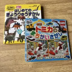 恐竜図鑑とトミカのまちがいさがしセット