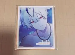 AGF オトメイト　アクリルブロマイド　honey vibes　アクブロ　テオ