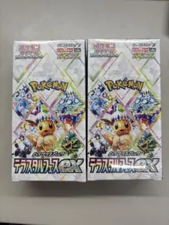 ポケモンカードゲーム 、テラスタルフェス2BOX、シュリンク付き