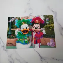 ディズニー スペシャルフォト ミニーオーミニー ミッキー ドナルド