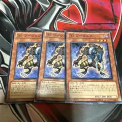 tG ワーウルフ　EXVC