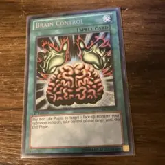 洗脳ブレインコントロール　シークレット　シク　英語版　1st LCYW