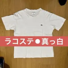 【値下げ】ラコステ⚫︎かのこ編み⚫︎CLASSIC FIT ⚫︎メンズL