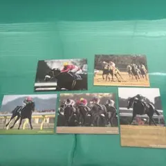 2026年最新】競馬 ポストカードの人気アイテム - メルカリ