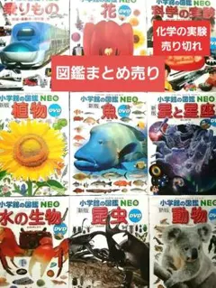まとめ割可】 小学館の図鑑neo DVD 13枚セット - メルカリ