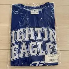 ファイティングイーグルス名古屋
