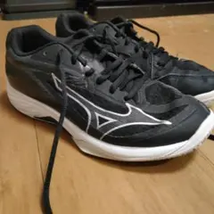 Mizuno バレーボールシューズ サンダーブレード　Z
