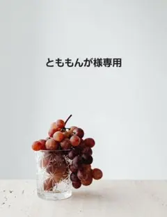 とももんが様専用 ②